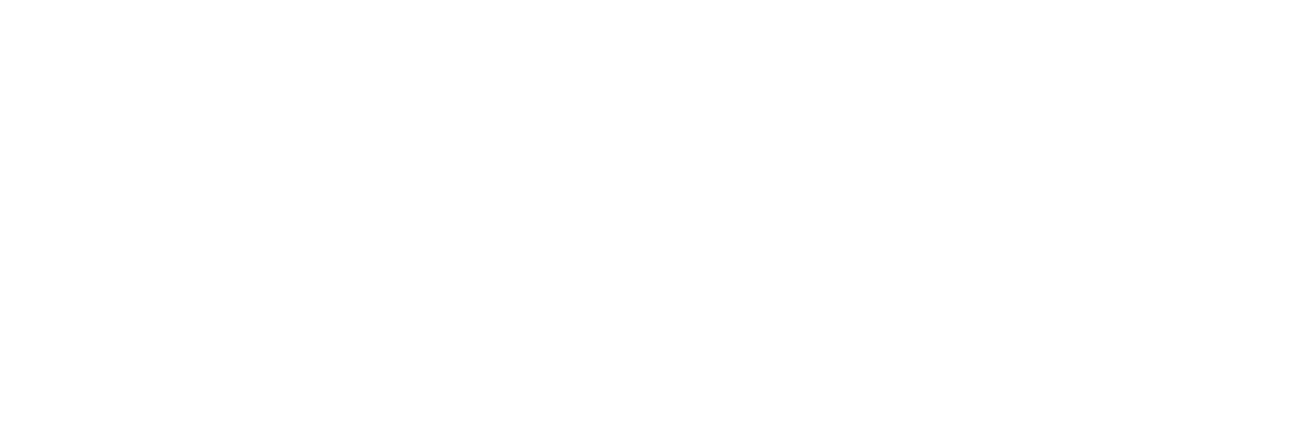 Wealth Beyond Debt Logo